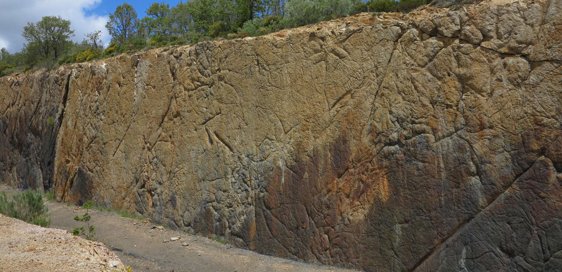 Senda del Bosque Fósil Palencia Turismo